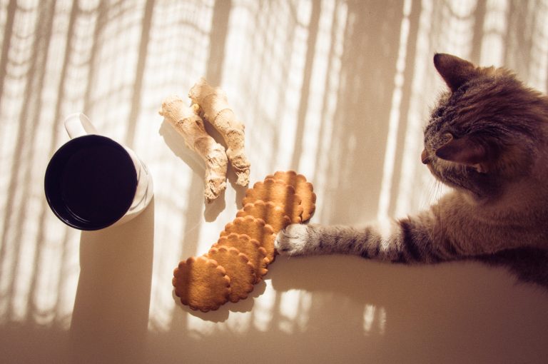 Third-Party Cookies Are Still Here (For a Time At Least)