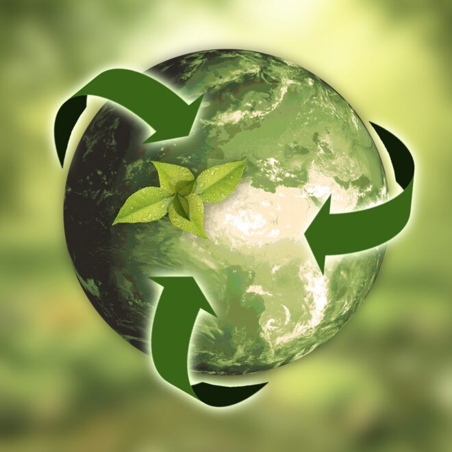 Sustainability in Media Buying: More Than a Trend